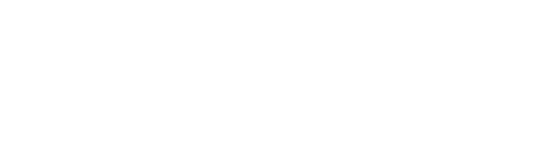 Qlik-Logo