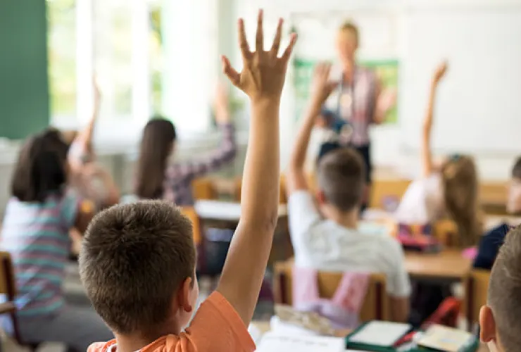 Students seated at desks in a classroom with several raising their hands, while a teacher stands at the front near a whiteboard.