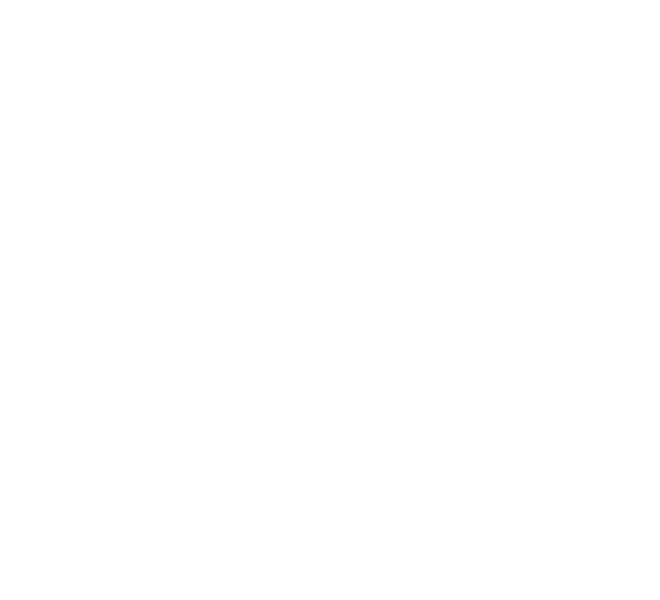 Diakonhjemmet Sykehus company logo