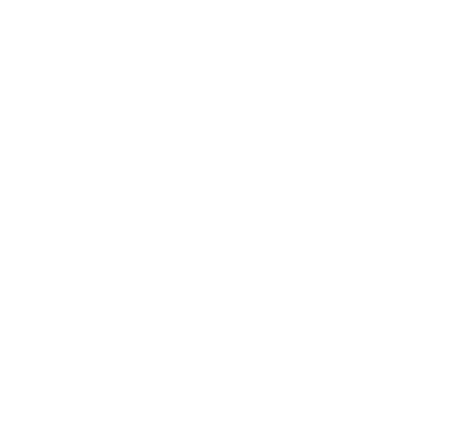 Lupin Pharmaceuticals company logo