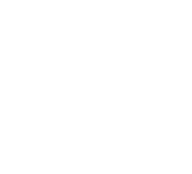 Planet Hollywood International company logo