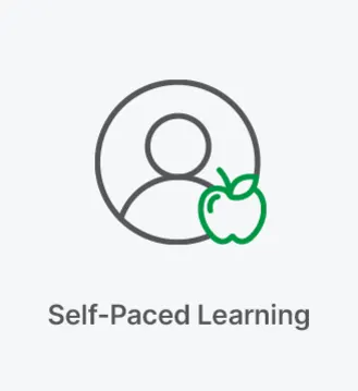 Qlik Training Overview: Self-Paced Learning