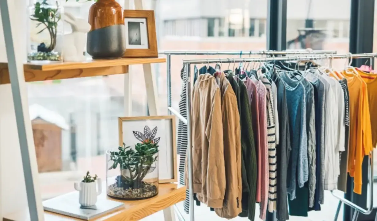 A clothes rack with various shirts and sweaters is next to wooden shelves holding potted plants, decorative items, and framed photos. Large windows in the background suggest a bright indoor setting.