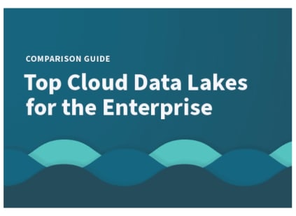 Cover of a comparison guide titled "Top Cloud Data Lakes for the Enterprise" with a wave-like design at the bottom.