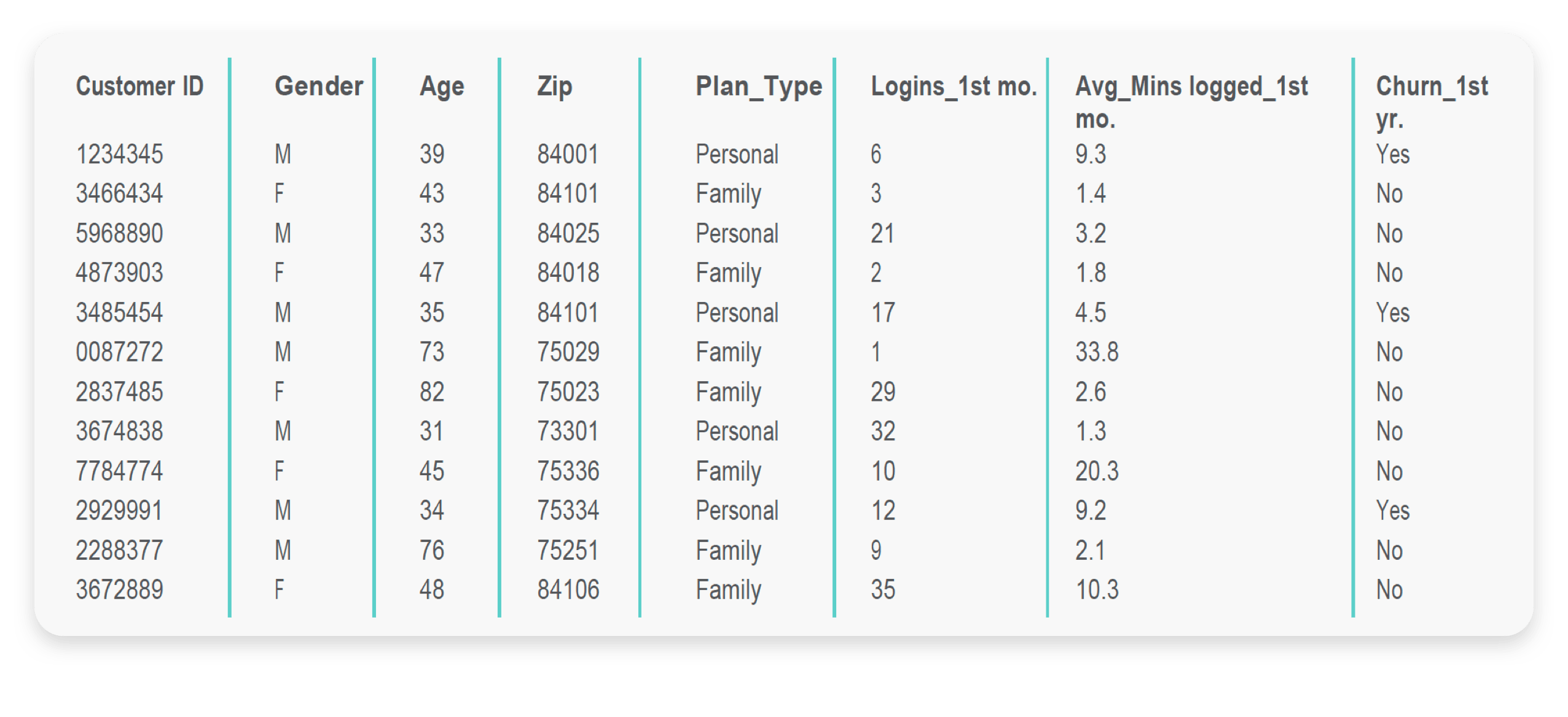 A table displays customer data, including ID, gender, age, zip code, plan type, logins in the first month, average minutes logged in the first month, and churn status in the first year.