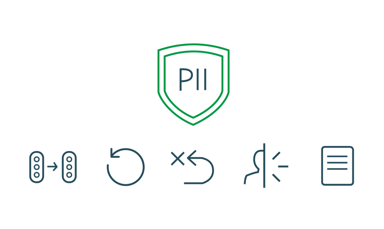 A shield icon with "PII" text in the center. Below it are five icons: a controller, a circular arrow, "x2", a brightness symbol, and a document.