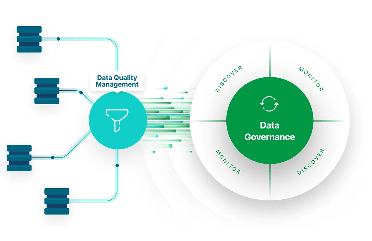 Infographic depicting a data governance model.