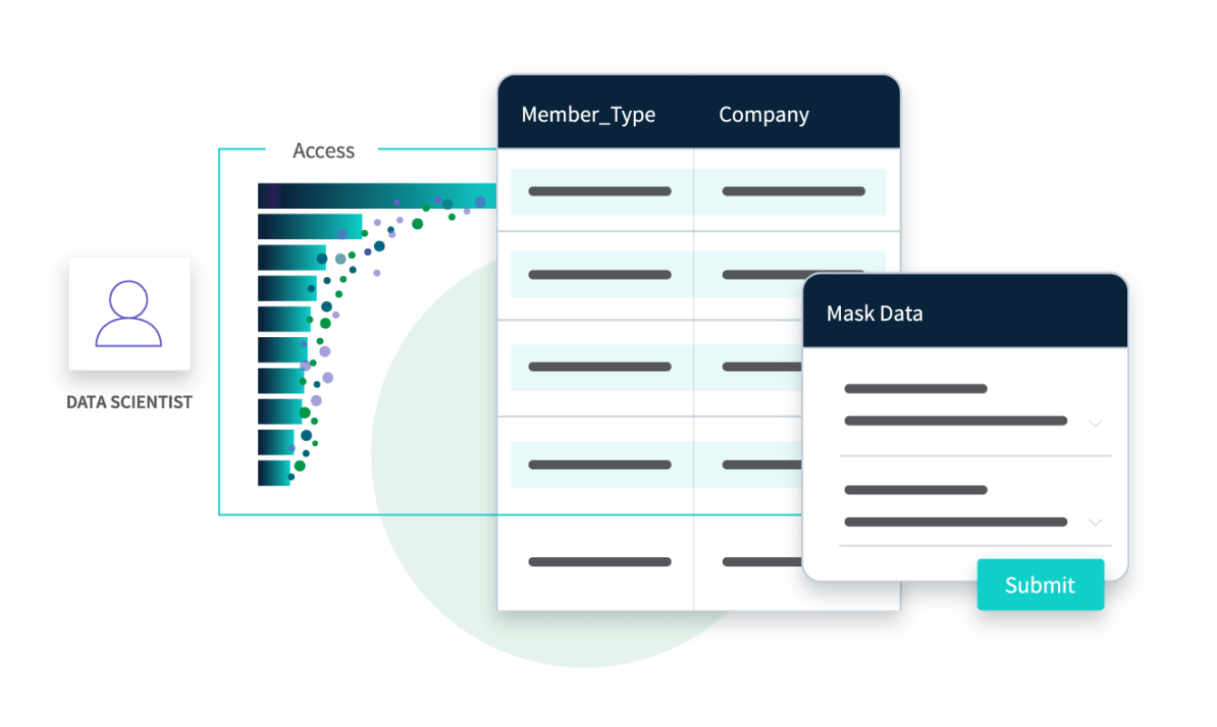 A graphical representation of data masking with a blurred background, showing a table labeled 'Member_Type' and 'Company,' with a dialogue box labeled 'Mask Data' and a 'Submit' button.